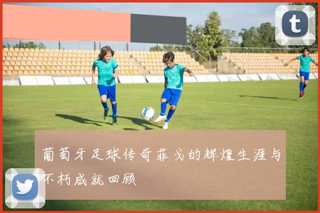 葡萄牙足球传奇菲戈的辉煌生涯与不朽成就回顾