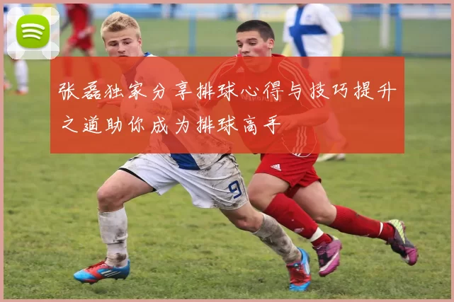 张磊独家分享排球心得与技巧提升之道助你成为排球高手