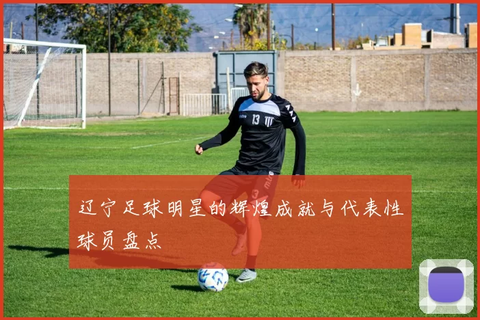 辽宁足球明星的辉煌成就与代表性球员盘点