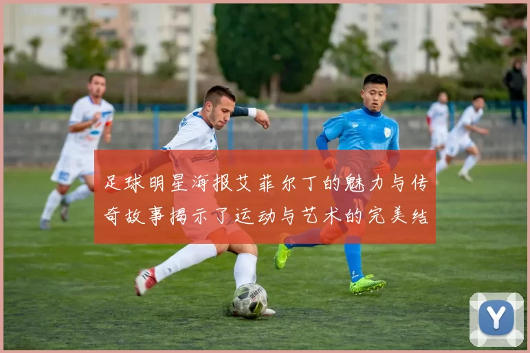 足球明星海报艾菲尔丁的魅力与传奇故事揭示了运动与艺术的完美结合