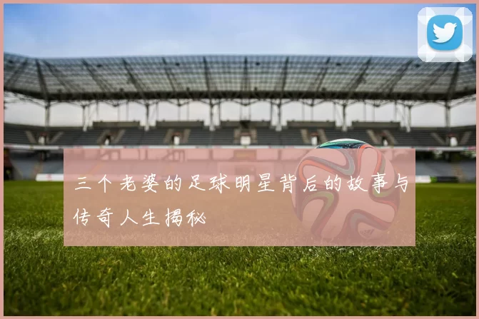 三个老婆的足球明星背后的故事与传奇人生揭秘
