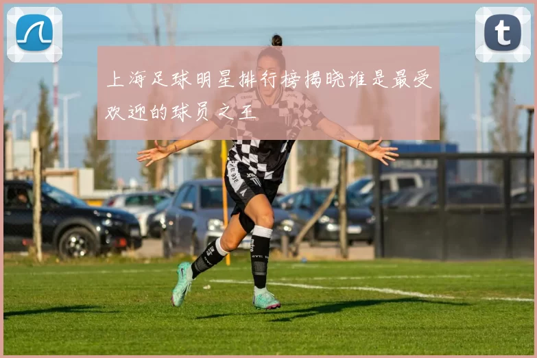 上海足球明星排行榜揭晓谁是最受欢迎的球员之王