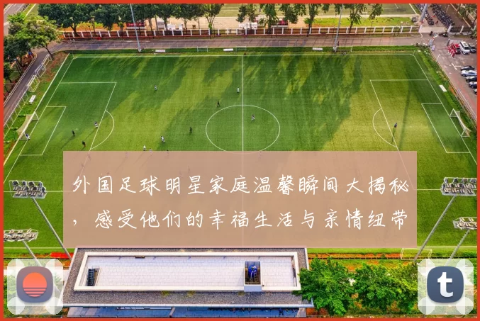 外国足球明星家庭温馨瞬间大揭秘，感受他们的幸福生活与亲情纽带