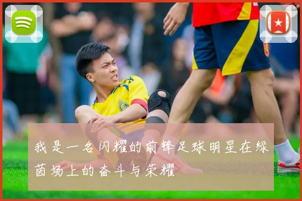 我是一名闪耀的前锋足球明星在绿茵场上的奋斗与荣耀