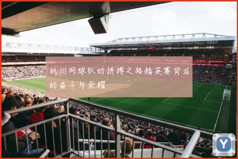 杭州网球队的拼搏之路精英赛背后的奋斗与荣耀