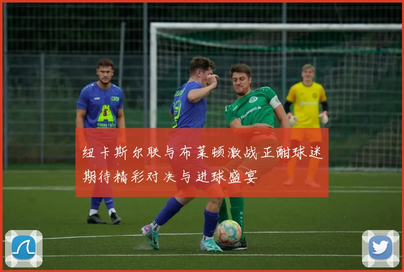 纽卡斯尔联与布莱顿激战正酣球迷期待精彩对决与进球盛宴