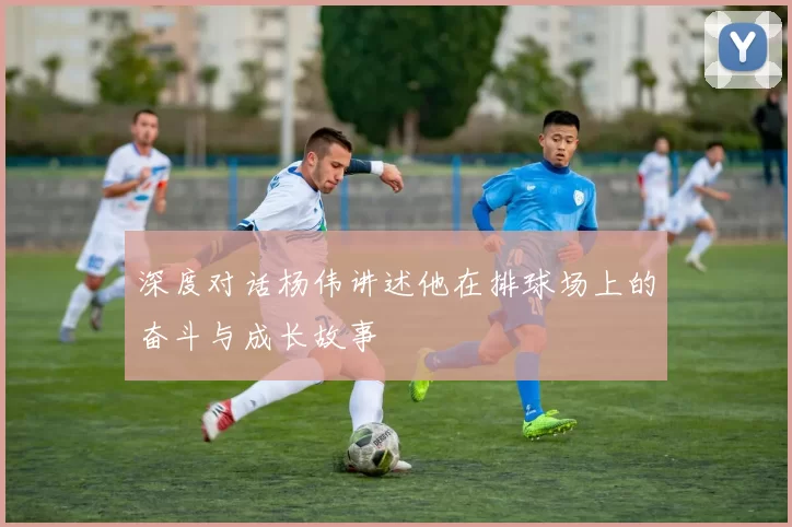 深度对话杨伟讲述他在排球场上的奋斗与成长故事